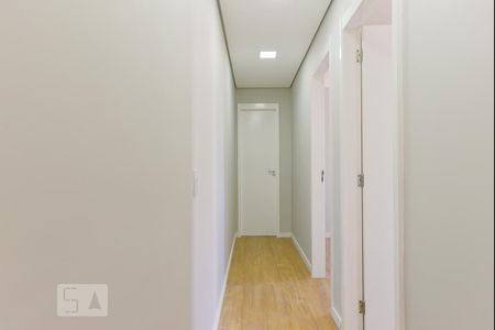 Corredor de apartamento para alugar com 2 quartos, 50m² em Jardim Samambaia, Campinas