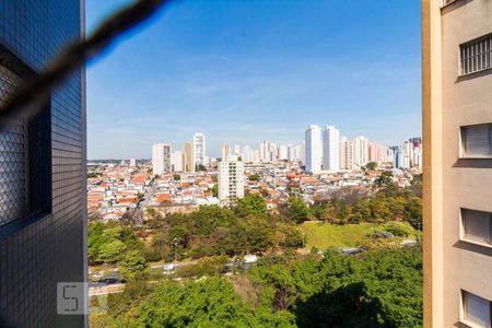 Vista da Varanda da Sala de apartamento para alugar com 3 quartos, 101m² em Vila Monte Alegre, São Paulo