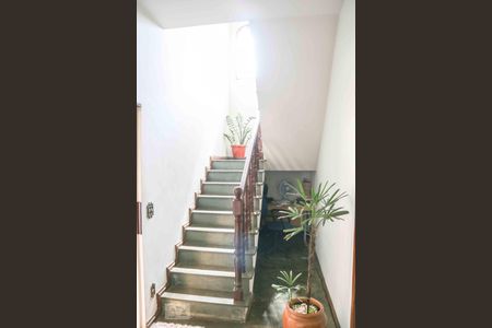 Escada de casa para alugar com 4 quartos, 300m² em Vila Cloris, Belo Horizonte