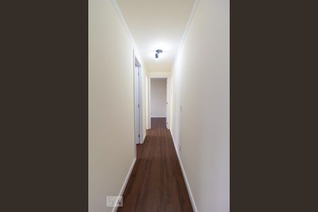 Corredor Quartos de apartamento para alugar com 2 quartos, 40m² em Jardim Esmeralda, São Paulo
