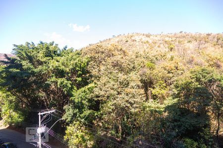 Vista da Sala 1 de apartamento para alugar com 2 quartos, 160m² em Sion, Belo Horizonte