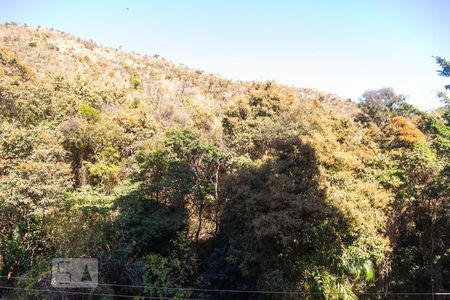 Vista da Sala 1 de apartamento para alugar com 2 quartos, 160m² em Sion, Belo Horizonte