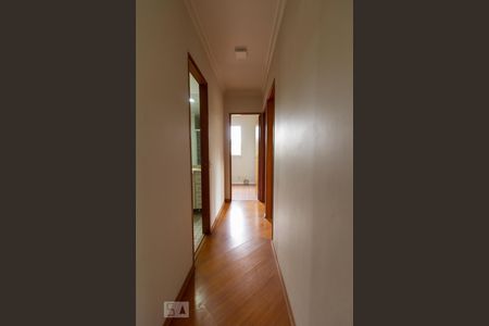 Corredor Quartos de apartamento para alugar com 3 quartos, 75m² em Vila Butantã, São Paulo