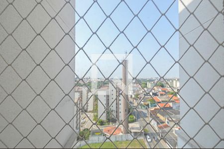 Vista do Quarto 1 de apartamento para alugar com 3 quartos, 54m² em Paulicéia, São Bernardo do Campo