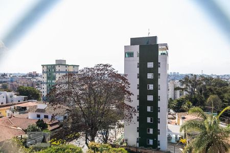 Vista da Varanda da Sala de apartamento para alugar com 4 quartos, 275m² em Itapoã, Belo Horizonte