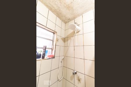 Casa para alugar com 380m², 7 quartos e 5 vagas Casa para alugar com 380m², 7 quartos e 5 vagasBanheiro da suíte - casa 2