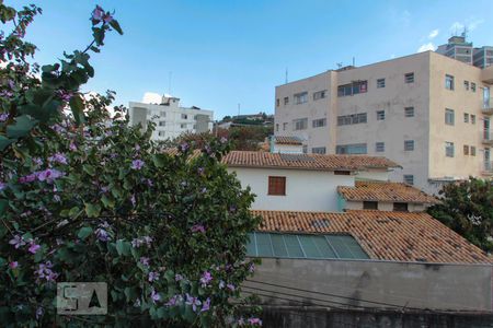 Vista da Sala de apartamento à venda com 3 quartos, 133m² em São Lucas, Belo Horizonte