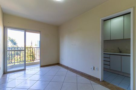 Sala de apartamento à venda com 1 quarto, 60m² em Cambuí, Campinas