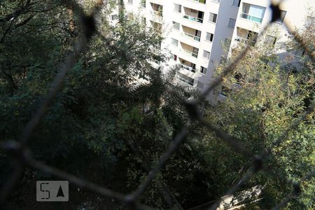 Vista da Varanda de apartamento para alugar com 3 quartos, 70m² em Paraíso do Morumbi, São Paulo