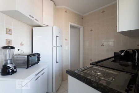 Cozinha de apartamento para alugar com 2 quartos, 65m² em Vila Santa Catarina, São Paulo