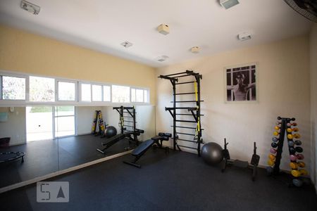 Apartamento para alugar com 70m², 3 quartos e 2 vagas Apartamento para alugar com 70m², 3 quartos e 2 vagasÁrea comum - Academia