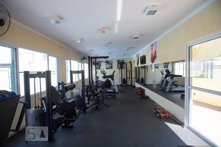 Apartamento para alugar com 70m², 3 quartos e 2 vagas Apartamento para alugar com 70m², 3 quartos e 2 vagasÁrea comum - Academia