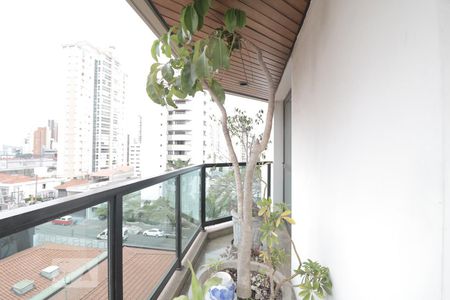 Sacada da Sala de Estar de apartamento para alugar com 4 quartos, 270m² em Jardim Anália Franco, São Paulo