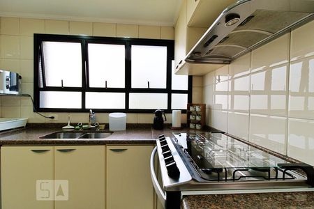 Apartamento para alugar com 240m², 4 quartos e 4 vagas Apartamento para alugar com 240m², 4 quartos e 4 vagasCozinha