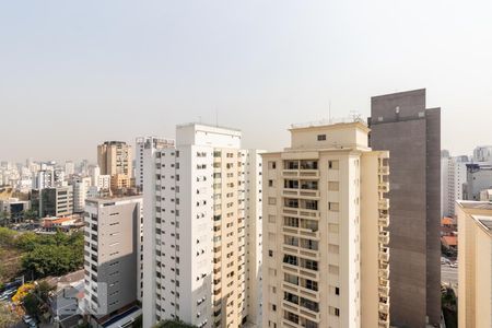 Vista de apartamento para alugar com 1 quarto, 47m² em Vila Uberabinha, São Paulo