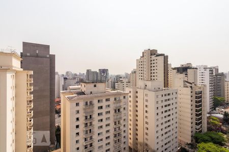 Vista de apartamento para alugar com 1 quarto, 47m² em Vila Uberabinha, São Paulo