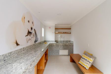 Espaço Pet de apartamento para alugar com 1 quarto, 29m² em Cambuci, São Paulo