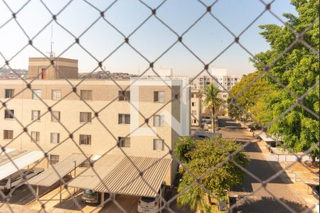 Vista do Quarto 1 de apartamento para alugar com 2 quartos, 60m² em Jardim do Lago, Campinas