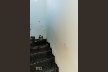 Escada de casa para alugar com 3 quartos, 247m² em Vila Lais, São Paulo