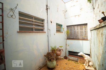 Área de Luz da Suíte de casa à venda com 5 quartos, 302m² em Taquaral, Campinas