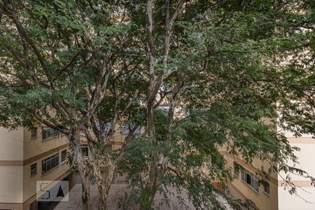 Vista da Sala de apartamento para alugar com 1 quarto, 50m² em Boa Vista, Porto Alegre