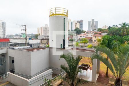 Vista do Quarto 1 de apartamento para alugar com 2 quartos, 35m² em Vila Santa Catarina, São Paulo