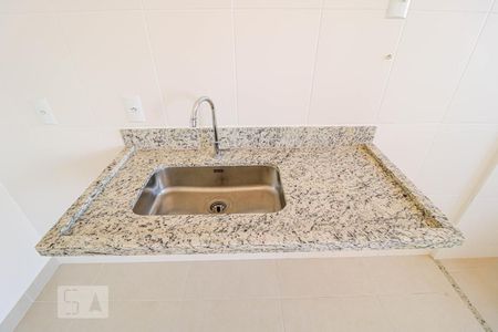 Pia de apartamento para alugar com 2 quartos, 55m² em Condomínio Residencial Santa Rita, Goiânia