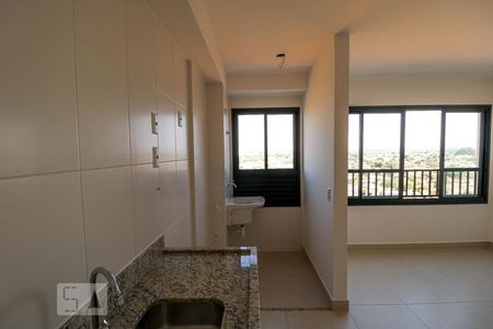 Cozinha de apartamento para alugar com 2 quartos, 55m² em Condomínio Residencial Santa Rita, Goiânia