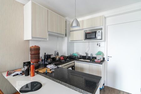 Sala/Cozinha de apartamento para alugar com 1 quarto, 33m² em Jardim Santa Teresinha, São Paulo