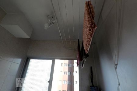 Área de Serviço de apartamento para alugar com 2 quartos, 54m² em Vila Vermelha, São Paulo