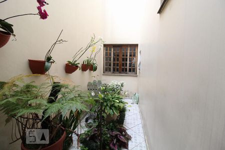 Vista sala/jardim inverno de casa à venda com 4 quartos, 186m² em Vila Floresta, Santo André