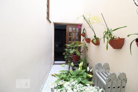 Jardim inverno de casa à venda com 4 quartos, 186m² em Vila Floresta, Santo André