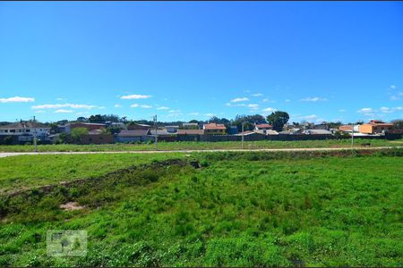 Vista Cozinha de apartamento para alugar com 2 quartos, 40m² em Estância Velha, Canoas