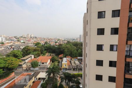 Quarto 1 Vista de apartamento para alugar com 3 quartos, 64m² em Vila Carbone, São Paulo