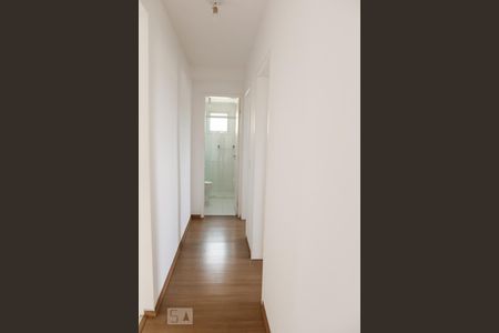 Corredor de apartamento para alugar com 2 quartos, 60m² em Vila do Castelo, São Paulo