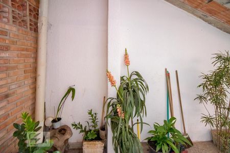 Vista da Suíte 1 de casa à venda com 8 quartos, 245m² em Horto Florestal, Belo Horizonte