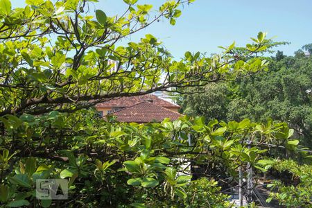 Vista do Quarto 1 de apartamento para alugar com 3 quartos, 85m² em Leblon, Rio de Janeiro