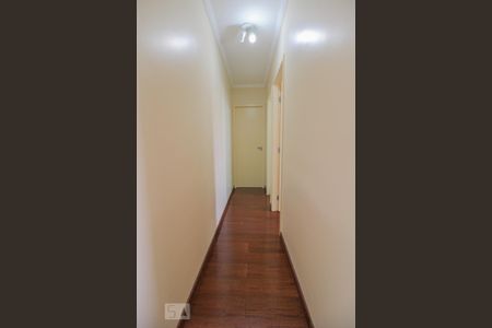 Corredor de apartamento à venda com 2 quartos, 51m² em Vila Maria Alta, São Paulo