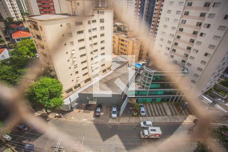 Vista de apartamento para alugar com 1 quarto, 50m² em Parque Imperial, São Paulo