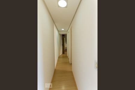 Corredor de apartamento para alugar com 2 quartos, 48m² em Igara, Canoas