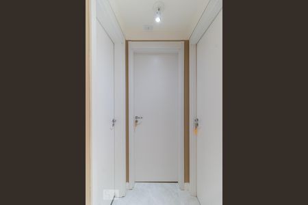 Corredor de apartamento para alugar com 2 quartos, 50m² em Cambuci, São Paulo