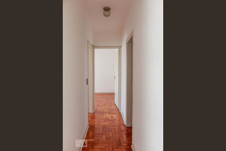 Corredor de apartamento para alugar com 2 quartos, 68m² em Mirandópolis, São Paulo