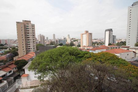 vista sala de apartamento para alugar com 3 quartos, 116m² em Vila Paulicéia, São Paulo