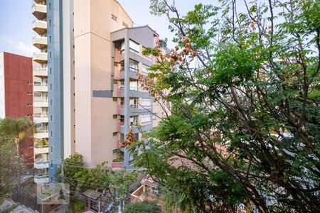 Vista da Sala de apartamento à venda com 3 quartos, 120m² em Ancheita, Belo Horizonte