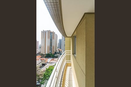 Varanda da Sala de apartamento para alugar com 1 quarto, 64m² em Vila Gomes Cardim, São Paulo