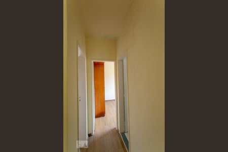 Corredor de apartamento para alugar com 2 quartos, 70m² em Serra, Belo Horizonte