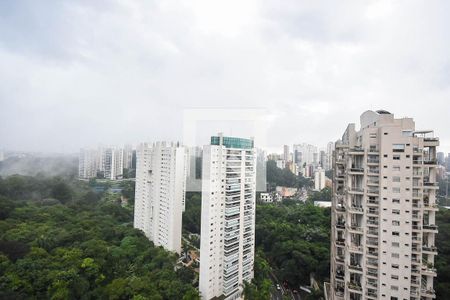 Vista da varanda de apartamento para alugar com 1 quarto, 90m² em Paraíso do Morumbi, São Paulo