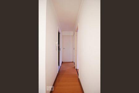Corredor de apartamento para alugar com 2 quartos, 78m² em Vila Andrade, São Paulo