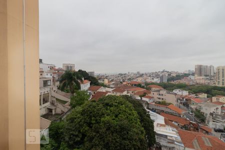 Vista de apartamento para alugar com 3 quartos, 100m² em Vila Paulicéia, São Paulo