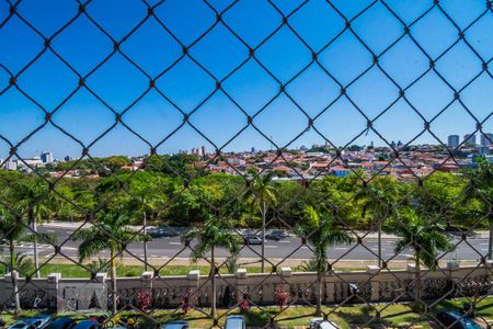 Vista da Sala de apartamento para alugar com 2 quartos, 44m² em Jardim Nova Europa, Campinas